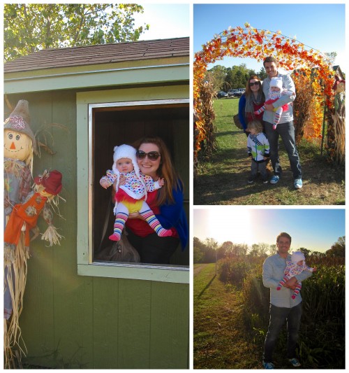 fallfun5