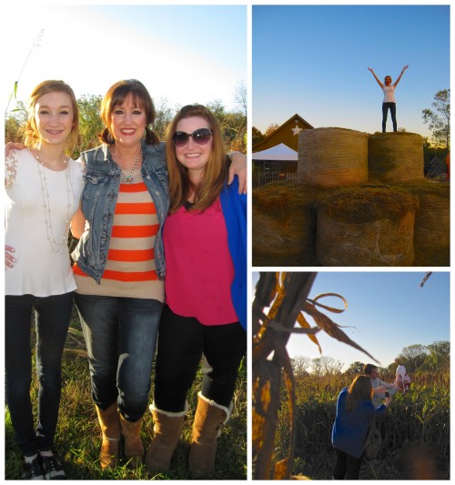 fallfun6