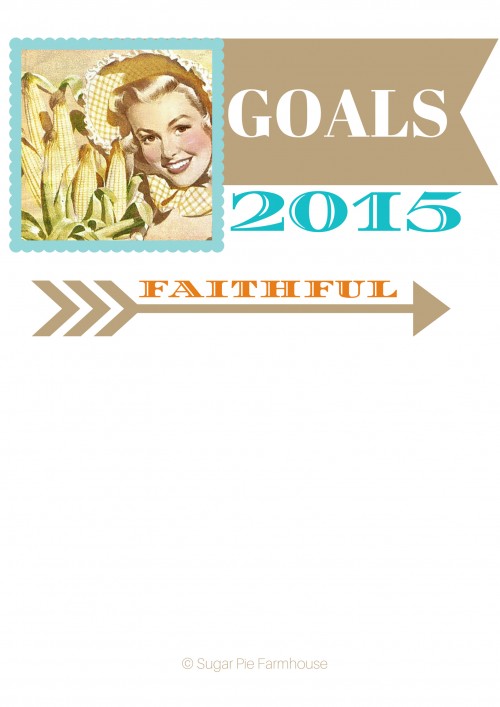 Goal sheet 2015