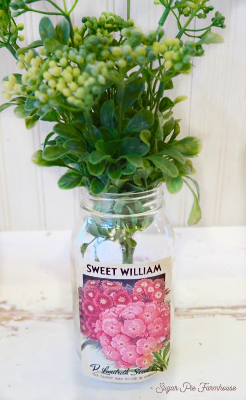 sweet william spf