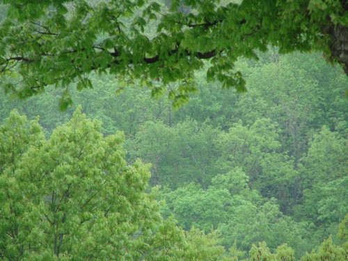 dsc054021