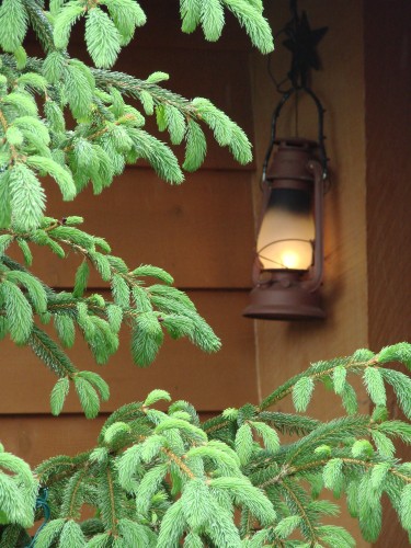 dsc054181