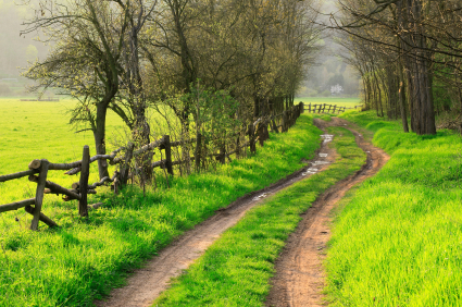 istock_000001569682xsmall1