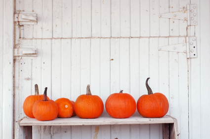 istock_000002254121xsmall1