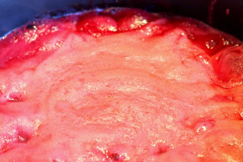 plum-foam