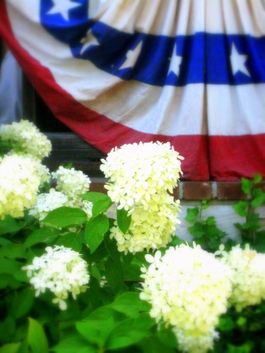 summer-in-st-charles