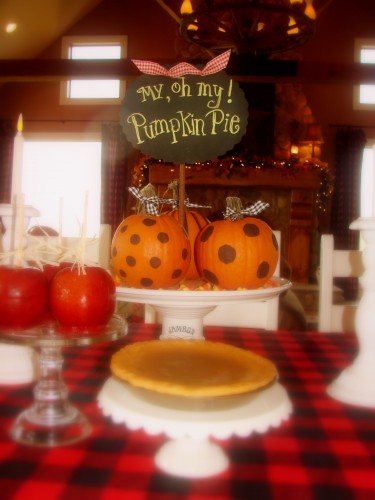 fall-2008-048