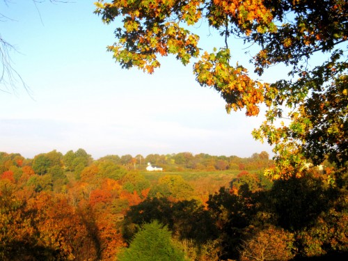fall2