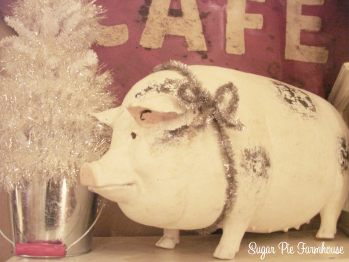 pig1