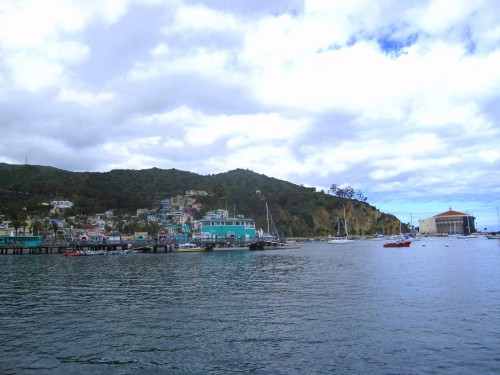img_1655 img_1655