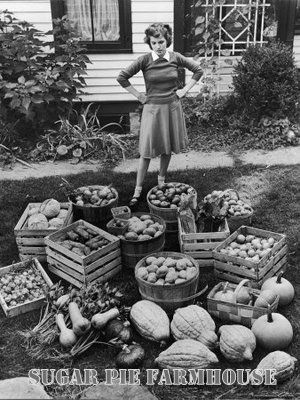 a-farmgirls-harvest