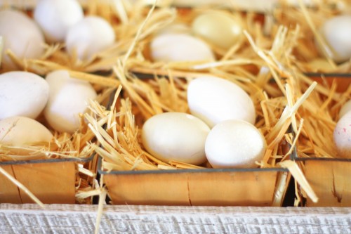 straw-and-eggs