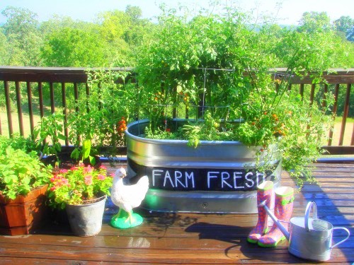 garden