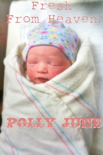 polly