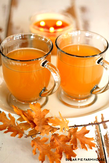 apple cider2