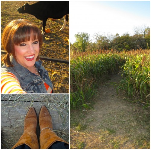 fallfun10