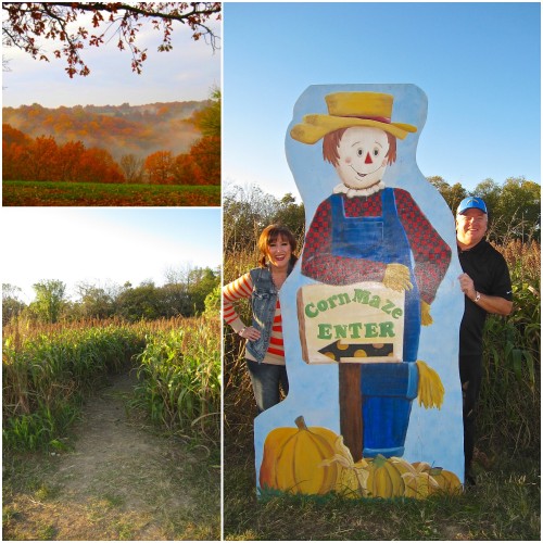 fallfun14