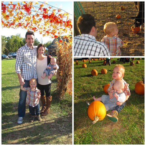 fallfun2