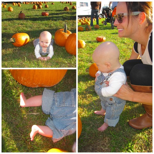 fallfun3