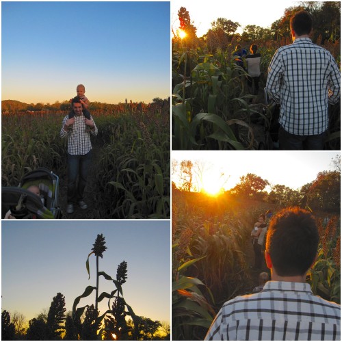 fallfun8