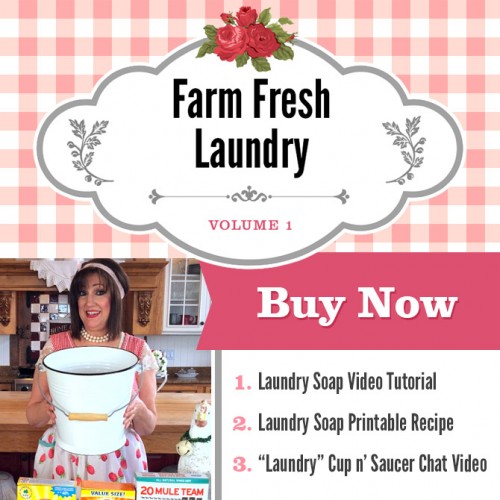 laundry-soap-blog-graphic-v2