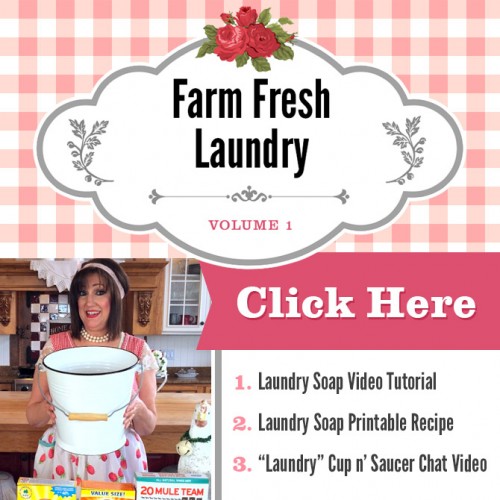 laundry-soap-graphic-v2