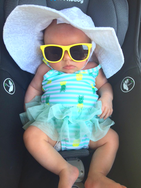 new olive photo