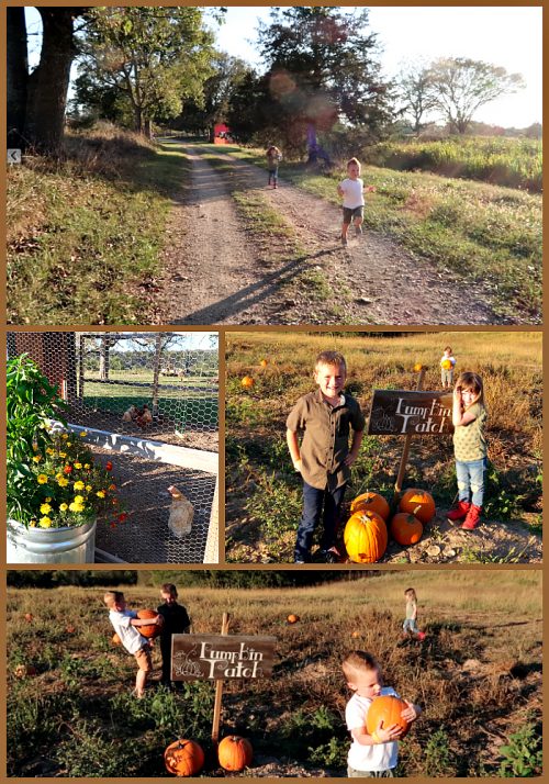 fall fun 2 2017