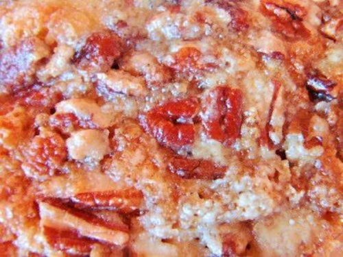 pumpkin crunch xooyum