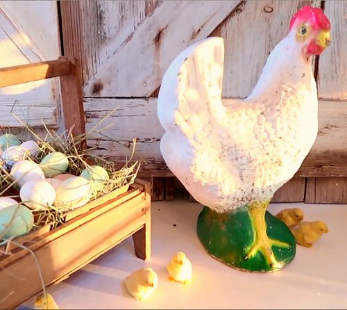 mama hen